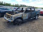 2000 Nissan Frontier XE
