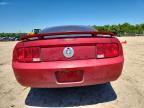 2005 Ford Mustang