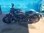 2024 Harley-Davidson RH1250 S
