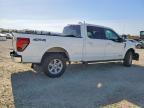 2025 Ford F150 XLT