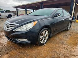 Hyundai Sonata Vehiculos salvage en venta: 2013 Hyundai Sonata Limited