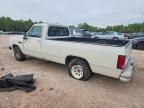 1984 Dodge D-SERIES D150