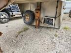 1995 EBY 2025 EBY Horse Trailer