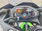 2025 Kawasaki EX500 H