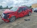 2025 Ford F150 Platinum