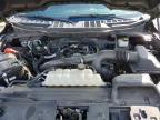 2024 Ford F150 XLT