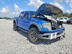 2013 Ford F150 SVT Raptor