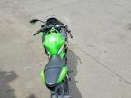 2025 Kawasaki EX650 P