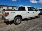 2013 Ford F150