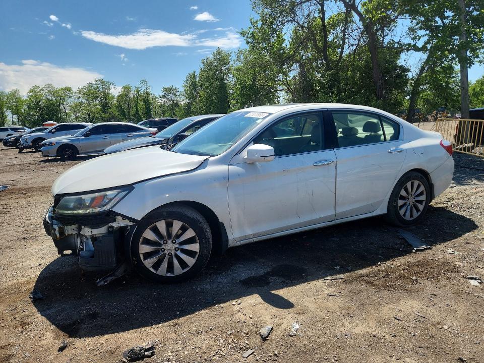 2013 Honda Accord exl