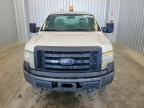 2010 Ford F150