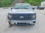 2025 Ford F150 XLT