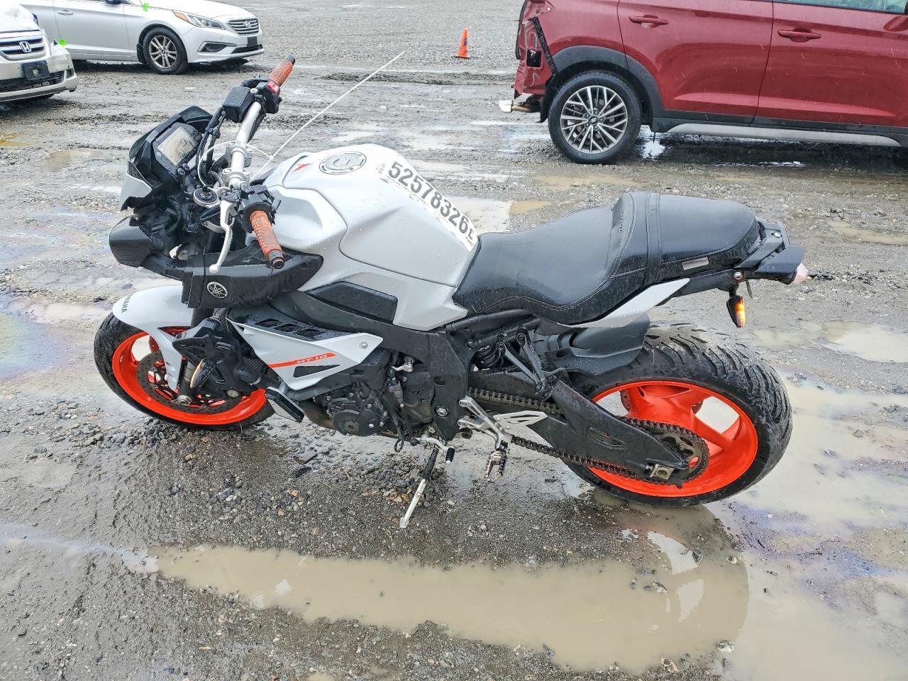 2019 Yamaha MTN1000