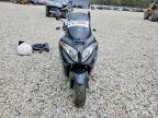 2023 Genuine Scooter Co. Scooter