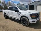 2024 Ford F150 XLT