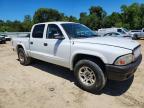 2004 Dodge Dakota Quad Sport