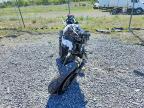 2019 Suzuki SV650 A