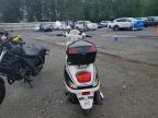 2014 Taotao Moped