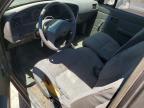 1989 Toyota Pickup Deluxe