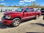 2011 Dodge Dakota SLT