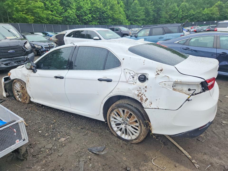 2019 Toyota Camry xle