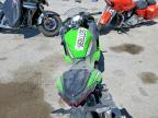 2025 Kawasaki EX500 H