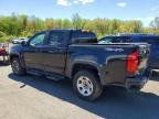 2021 Chev Colorado