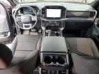 2025 Ford F150 XLT