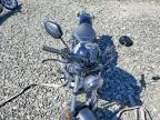 2024 Honda CMX500 A