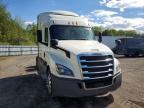 2019 Freightliner Cascadia 126 Semi Truck