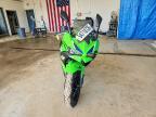 2026 Kawasaki EX500 H