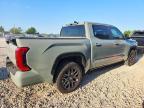 2025 Toyota Tundra Platinum HV