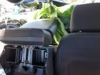 2025 Ford F150 XLT
