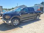 2025 Ford F150 XLT