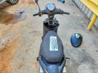 2022 Genuine Scooter Co. Buddy 50