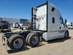 2019 Freightliner Cascadia 126 Semi Truck