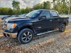 Salvage trucks for sale at Rogersville, MO auction: 2013 Ford F150 Supercrew