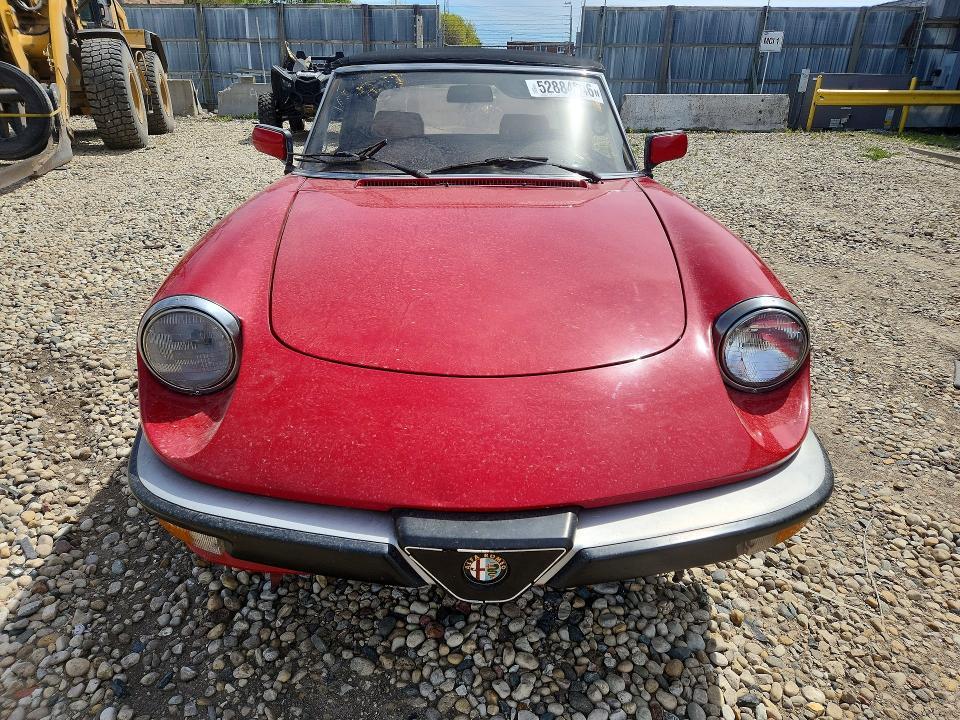 1988 Alfa Romeo Spider Veloce