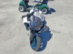 2025 Cf Moto 675SS