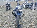 2019 Harley-Davidson Flsl
