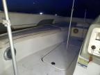 2010 Bayliner Bayliner