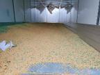 2027 Fruehauf DRY Van Trailer