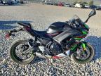 2022 Kawasaki EX650 N