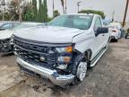 2025 Chevrolet Silverado C1500