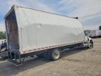 2024 International MV607 BOX Truck