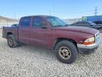 2000 Dodge Dakota Quattro