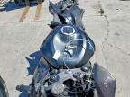 2024 Kawasaki ZX636 K