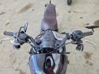 2025 Harley-Davidson Fxlrs