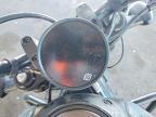 2024 Harley-Davidson RH1250 S