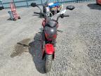 2020 Cf Moto Scooter